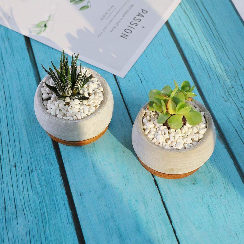 T4u 植木鉢 多肉植物鉢 おしゃれ セメント鉢 サボテン鉢 丸型 3号鉢 浅型 プランター 竹製受け皿付き 底穴付き グレー 2個入り イ Lotusstore 通販 Yahoo ショッピング