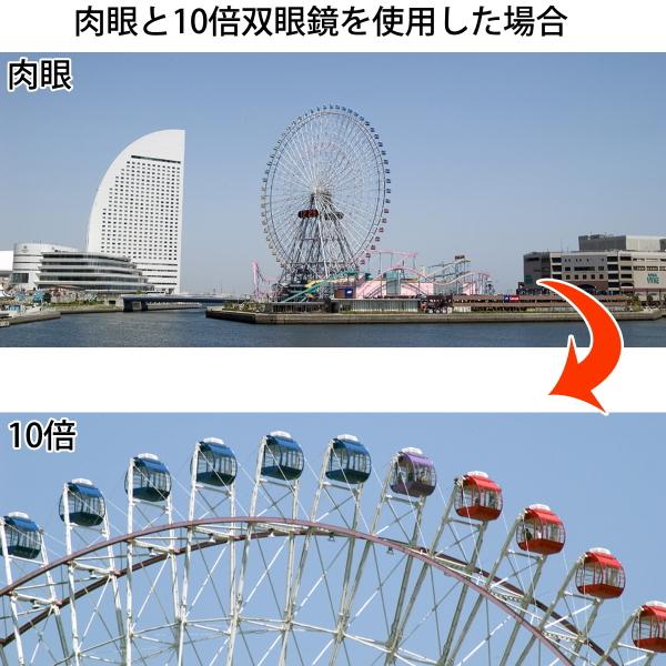 マルチコートレンズ コンパクト双眼鏡 10倍 21mm 持ち運び便利 携帯用 オペラグラス 望遠鏡 アウトドア コンサート ライブ 観劇 野球スポーツ観戦 野鳥観察_1