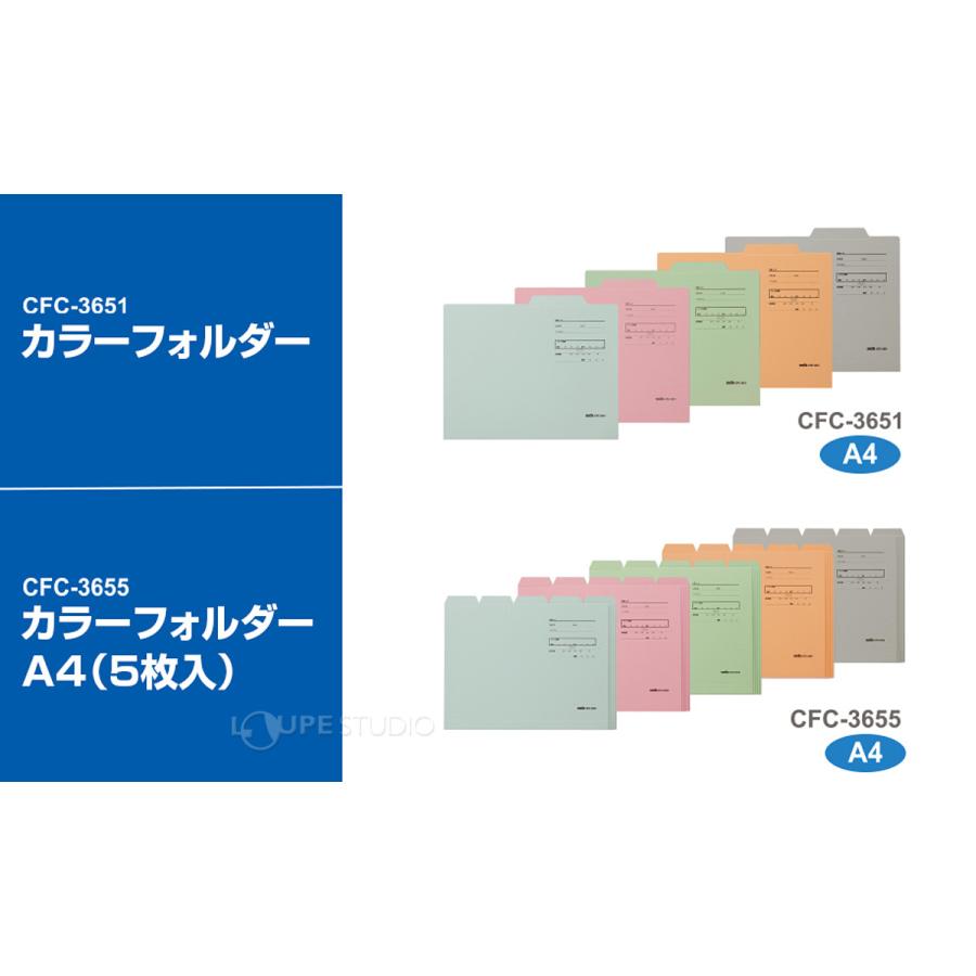 フォルダー ファイル カラーフォルダー A4 収納 整理 仕分け 保管 事務