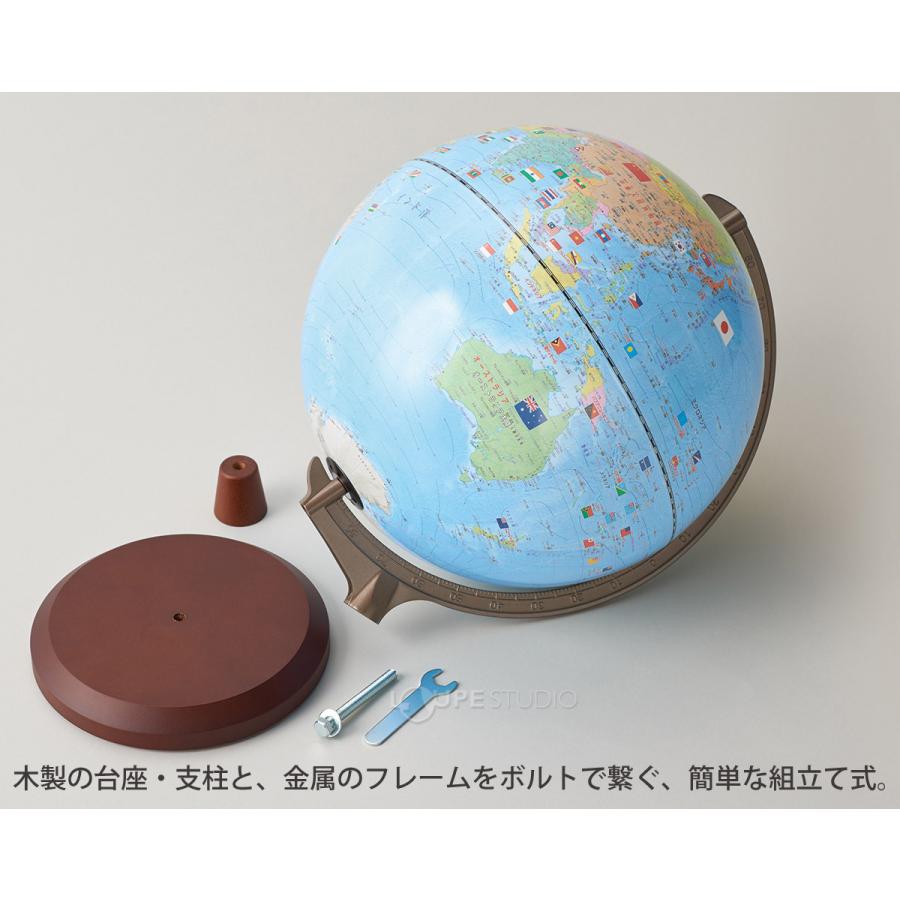 地球儀 子供用 小学生 球径30cm 行政図 レイメイ藤井 国旗イラスト付