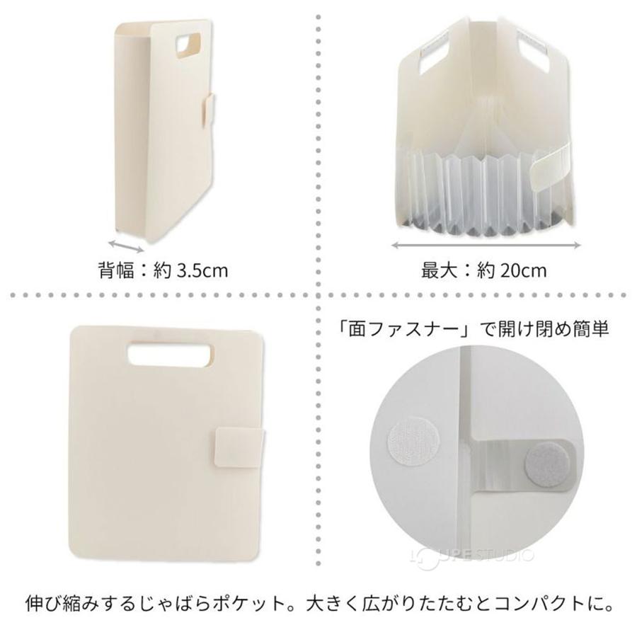 サクラクレパス こまごまファイル 収納ファイル 水谷妙子氏監修 文房具