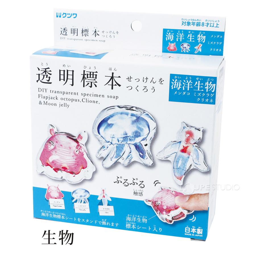 【透明標本作製キット】(上級) 20点　自由研究 学習教材 改良版 透明標本作製キット】(上級) 20点 自由研究 学習教材 改良版