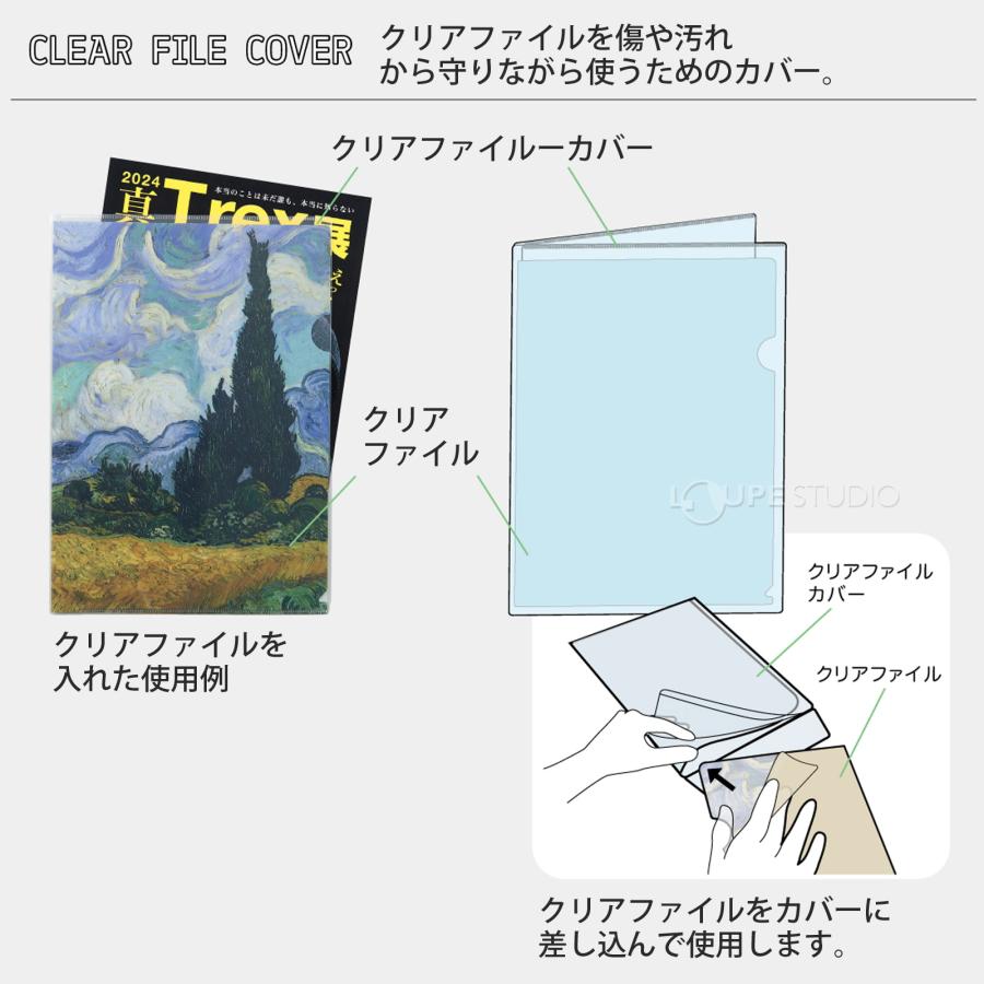 Collel クリアファイルカバー 3枚パック A4 リヒトラブ 文具 収納 保護