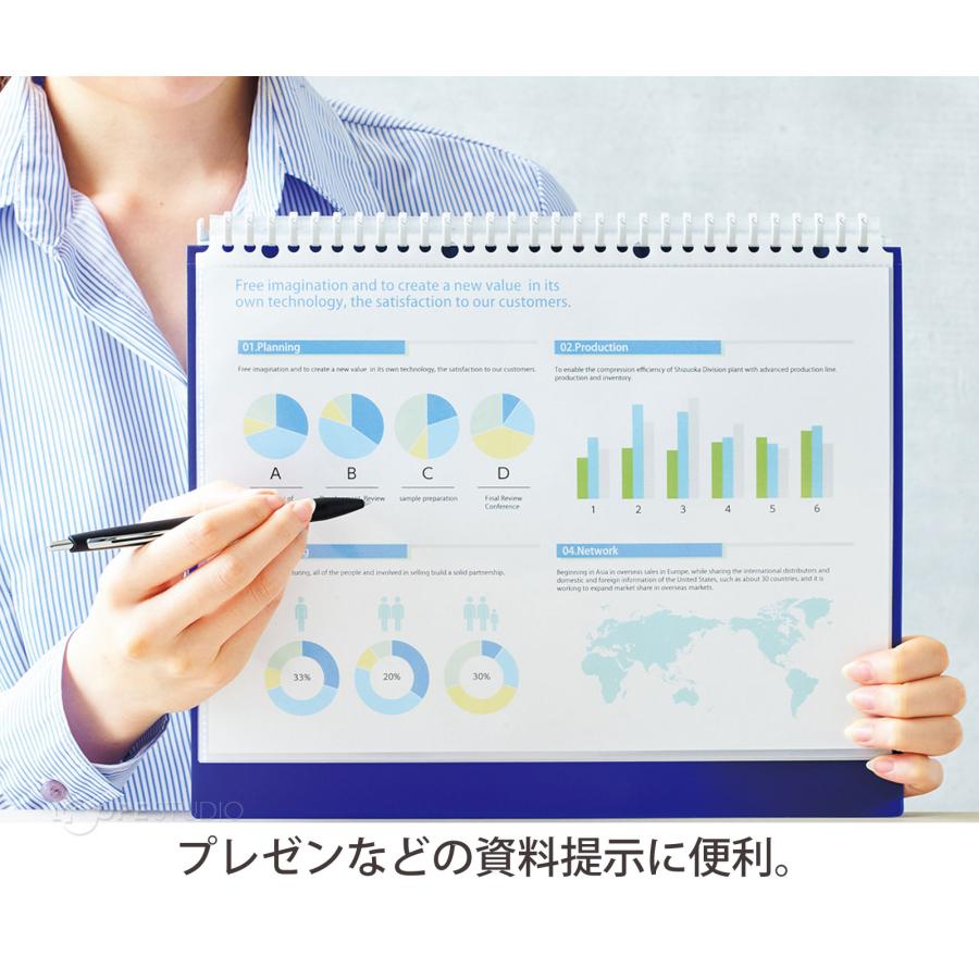CUBEFIZZ クリヤーブックポケット A4 S型 30穴 交換タイプ リヒトラブ