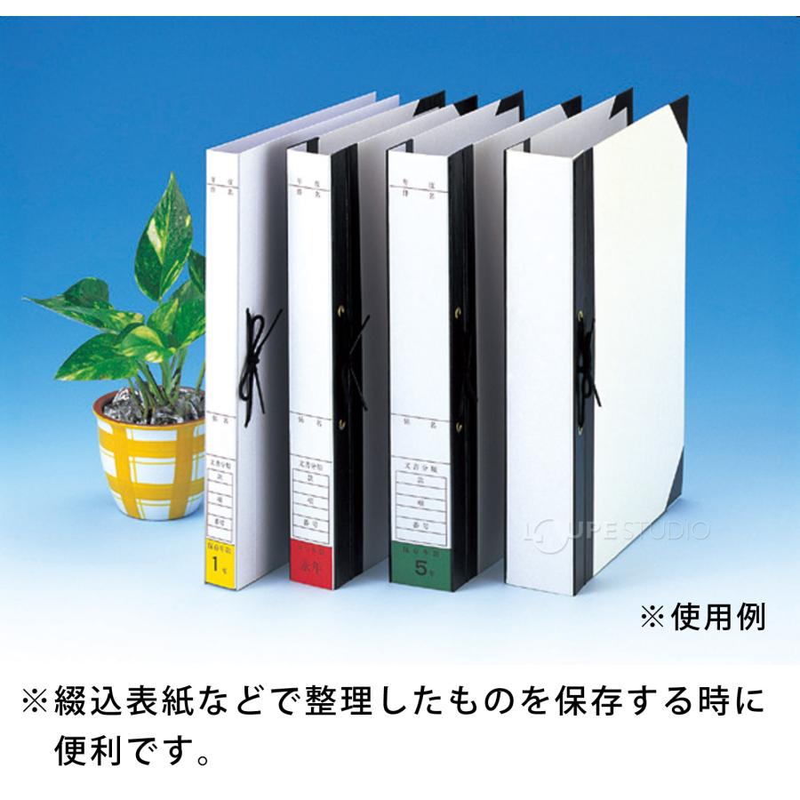 背表紙 A4判 HS-45 ひもとじタイプ 2穴 背幅50mm 20枚入 美濃商会 文具