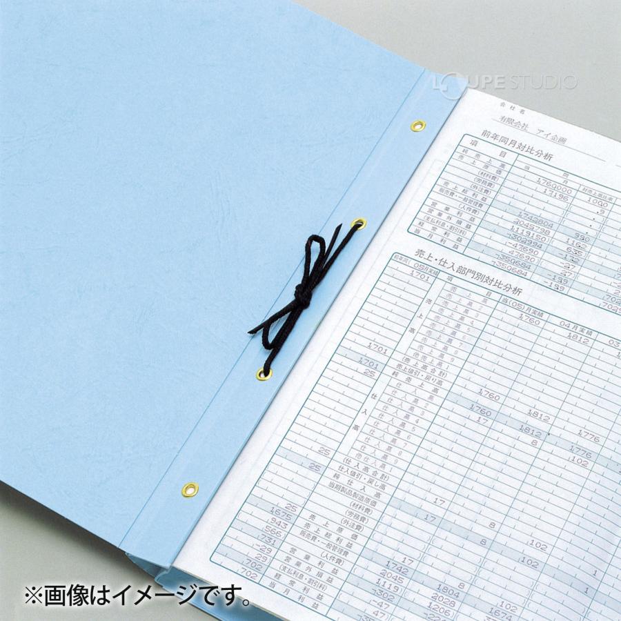 エコA-NER ファイル A5判 縦型 A5SW/A5SK 2穴 ハトメ付 10個セット 美濃商会 背 表紙 伸びる 文具 文房具 事務用品 ...