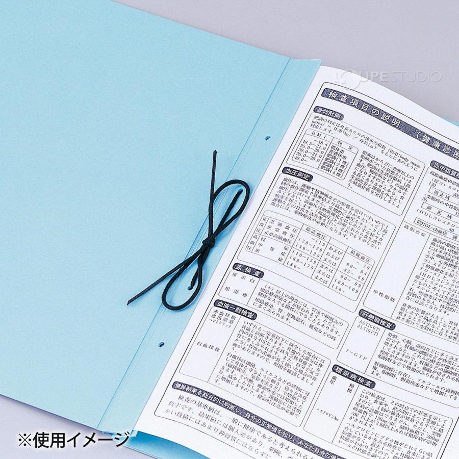 エコA-NER ファイル A4判 W4S/K4S 4穴 ハトメなし タブ付 美濃商会 背