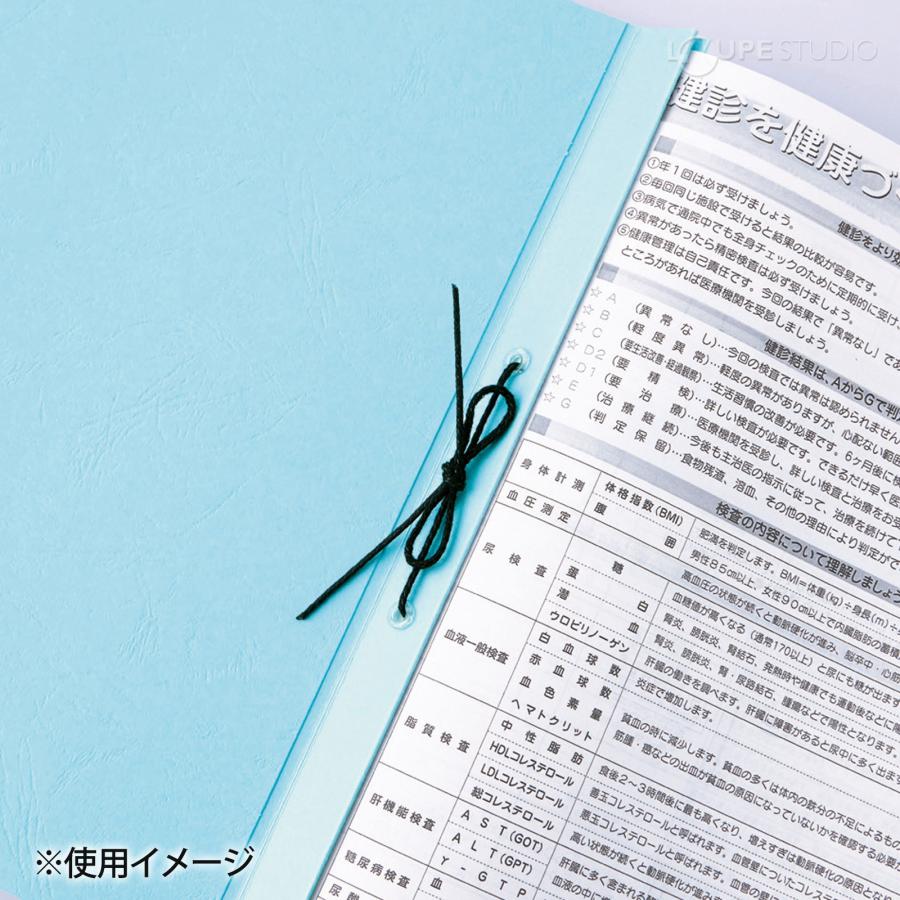 エコA-NER ファイル A4判 縦型 W4S-EP/K4S-EP 2穴 樹脂ハトメ付 タブ付