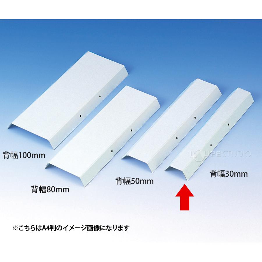背表紙 B5判 HS-3 ひもとじタイプ 2穴 背幅30mm 20枚入 美濃商会 文具