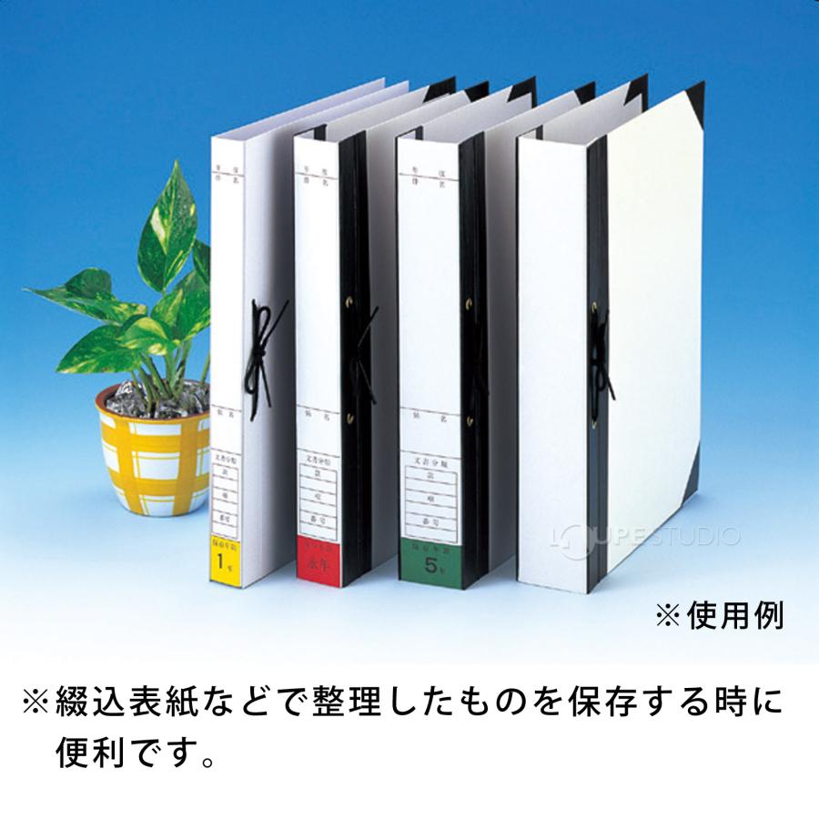 背表紙 B5判 HS-10 ひもとじタイプ 2穴 背幅100mm 20枚入 美濃商会