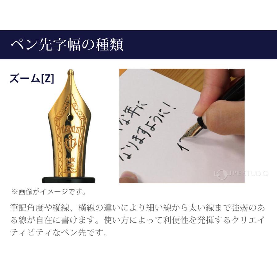 万年筆 プレゼント 高級 ペン 21金 プロフェッショナルギア銀 ズーム