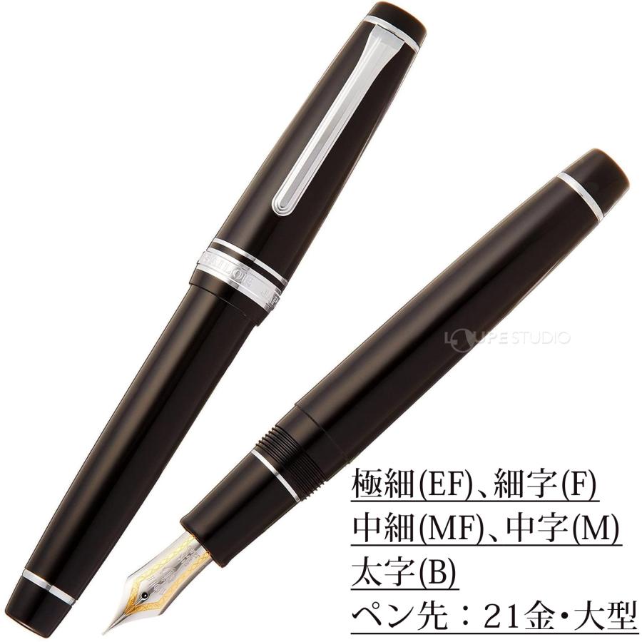万年筆 プレゼント 高級 ペン 21金 プロフェッショナルギア 銀