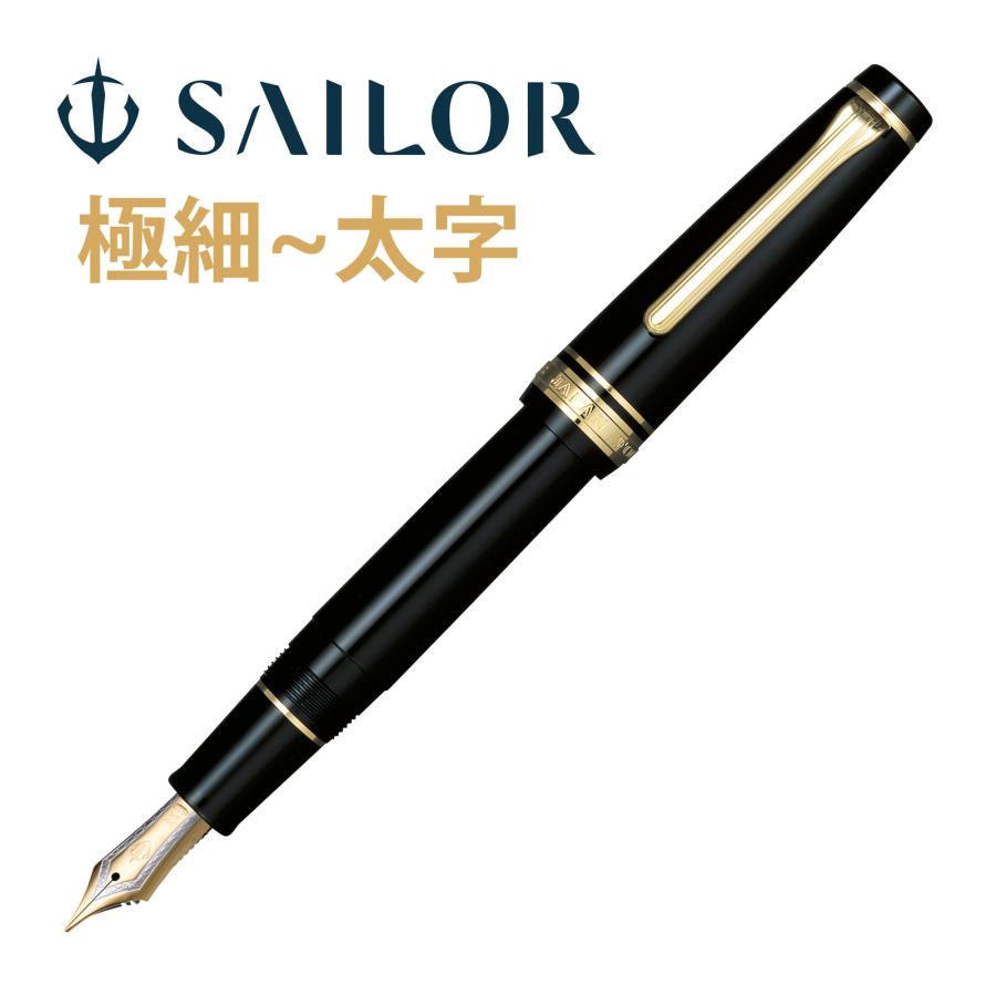 万年筆 プレゼント 高級 ペン 21金 プロフェッショナルギア 金