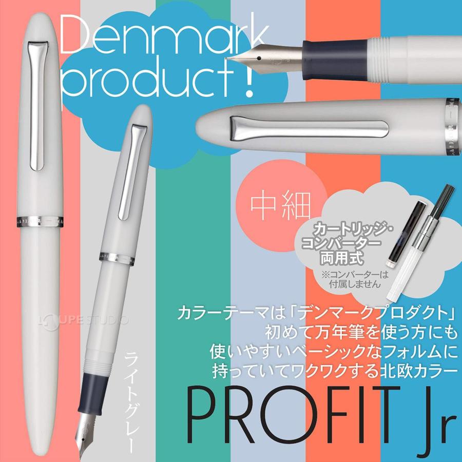 万年筆 プレゼント ペン プロフィットJr. 中細 セーラー 日本製 記念品
