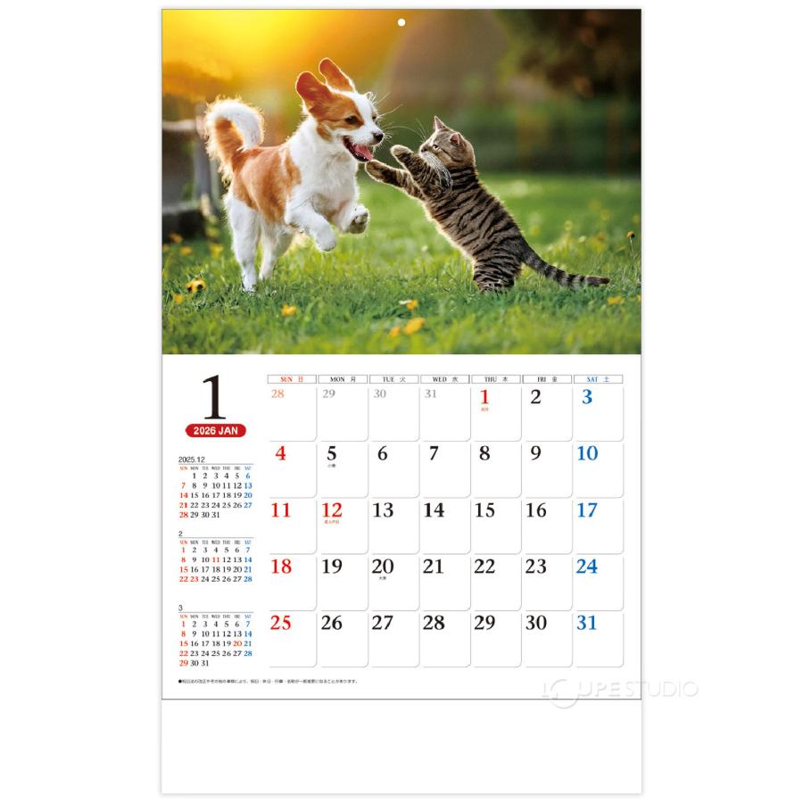 ①『犬』壁掛けチャリティーカレンダー5枚セット カレンダー 2026 ワンニャン コンパクトカレンダー 壁掛け 犬 猫 動物