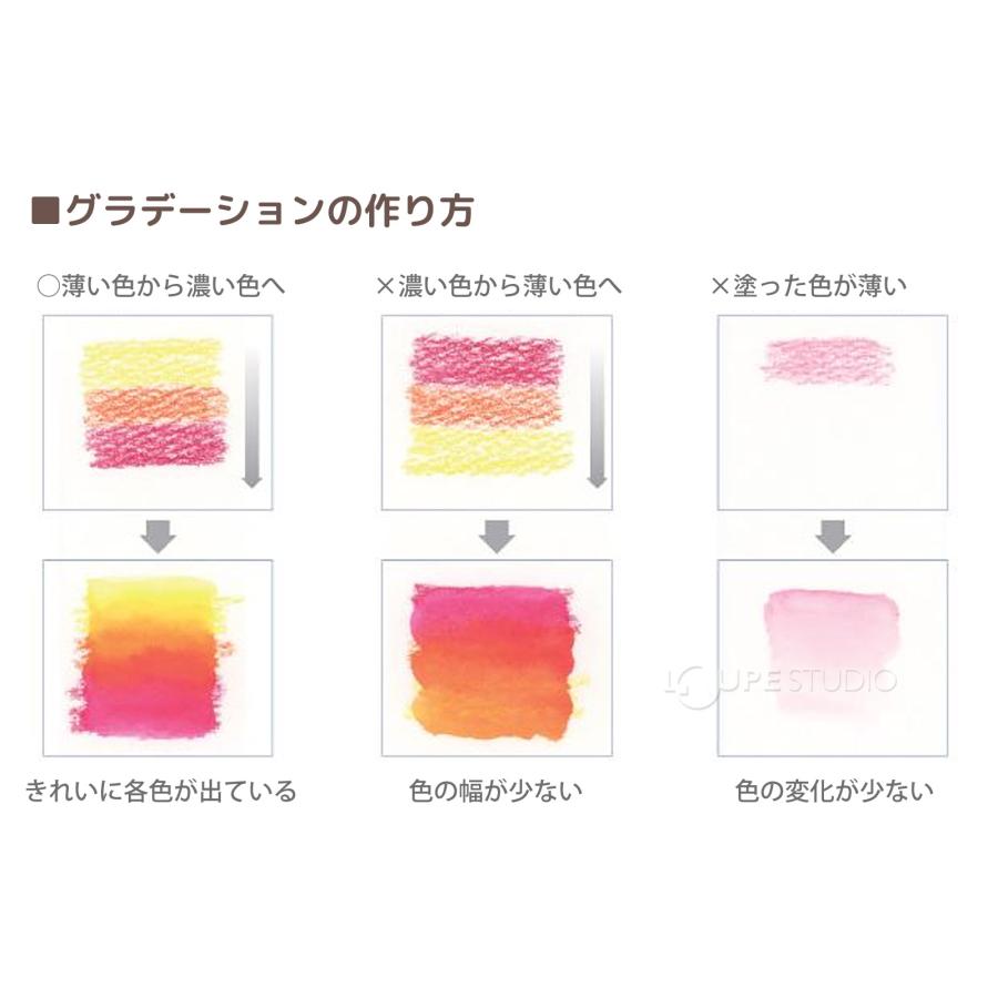 ステッドラー 色鉛筆 水彩 24色 大人 子供 文具 筆記具 文房具 カラト