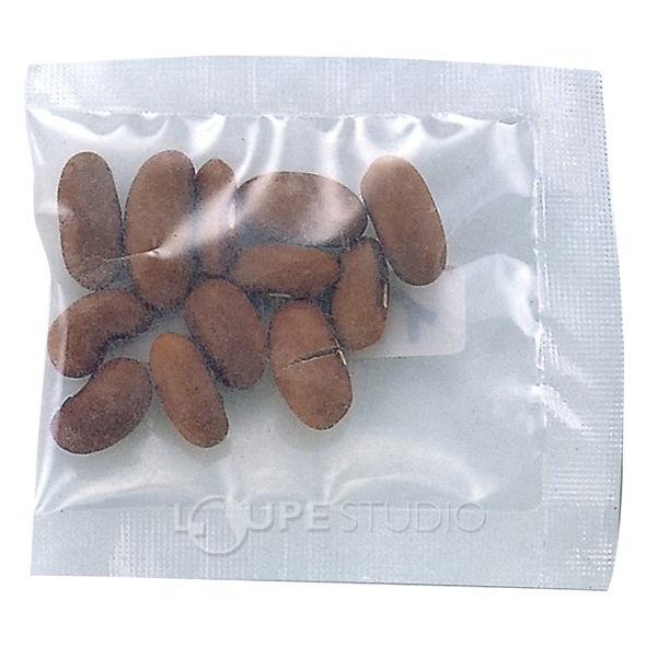 野菜の種 インゲン豆 栽培 インゲンマメ いんげん豆 種子 たね いんげんのたね ガーデニング 家庭菜園 学習教材 理科 Atc ルーペスタジオ 通販 Yahoo ショッピング