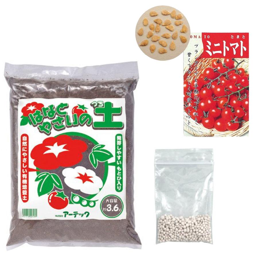 知育玩具 ミニトマト 栽培基本セット プチトマト 栽培セット ガーデニング 植物 育てる|loupe|02