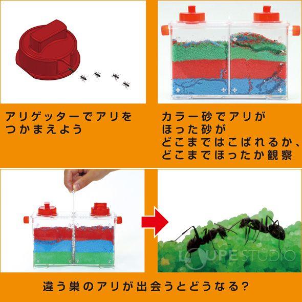 アリさんまるごと観察セット 観察 あり アリの巣 蟻 理科 実験 キット 工作キット 小学生 夏休み 宿題 自由研究 子供 キッズ｜loupe｜06