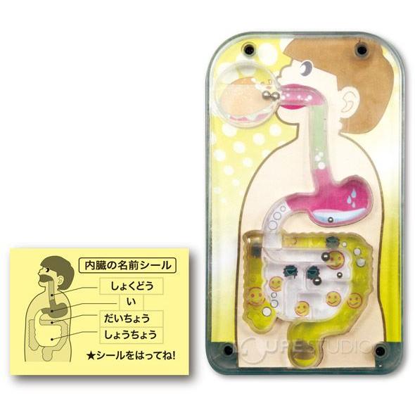 食べたものはどこへ行くの 体のめいろ 科学 実験 セット キット 観察 体の仕組み ゲーム 理科 小学生 学習 自由研究 宿題 子供 クリスマスプレゼ Atc ルーペスタジオ 通販 Yahoo ショッピング