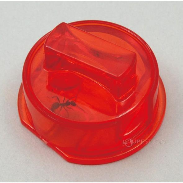 アリ 観察キット アリのくらし観察セット アリの巣 ありの巣 観察 理科 飼育セット 夏休み 自由研究 小学生 キット 実験 Atc ルーペスタジオ 通販 Yahoo ショッピング