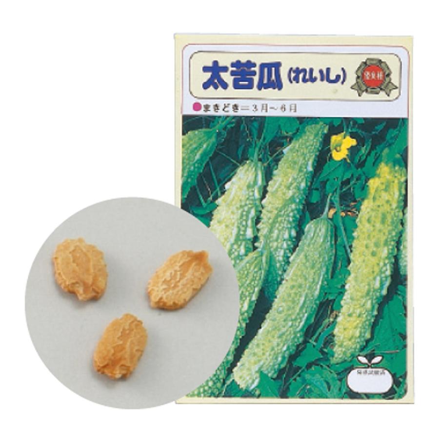 野菜の種 ツルレイシ 苦瓜 ゴーヤ にがうり ニガウリ 種 栽培 子供 キッズ 学習教材 理科 自由研究 家庭菜園 野菜作り 夏野菜 Atc ルーペスタジオ 通販 Yahoo ショッピング
