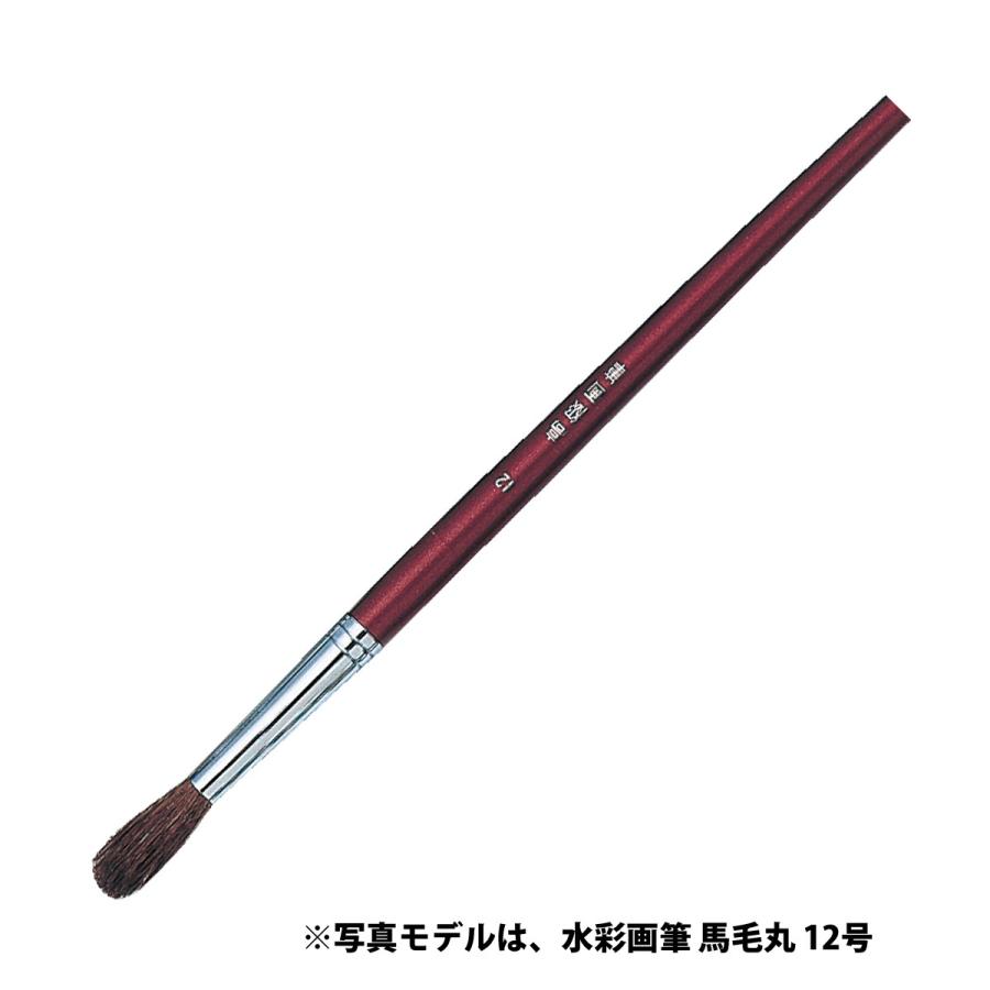 水彩画筆 馬毛丸 8号 絵の具 絵筆 絵具 筆 美術 画材 図工 スケッチ 学校 教材 Atc ルーペスタジオ 通販 Yahoo ショッピング