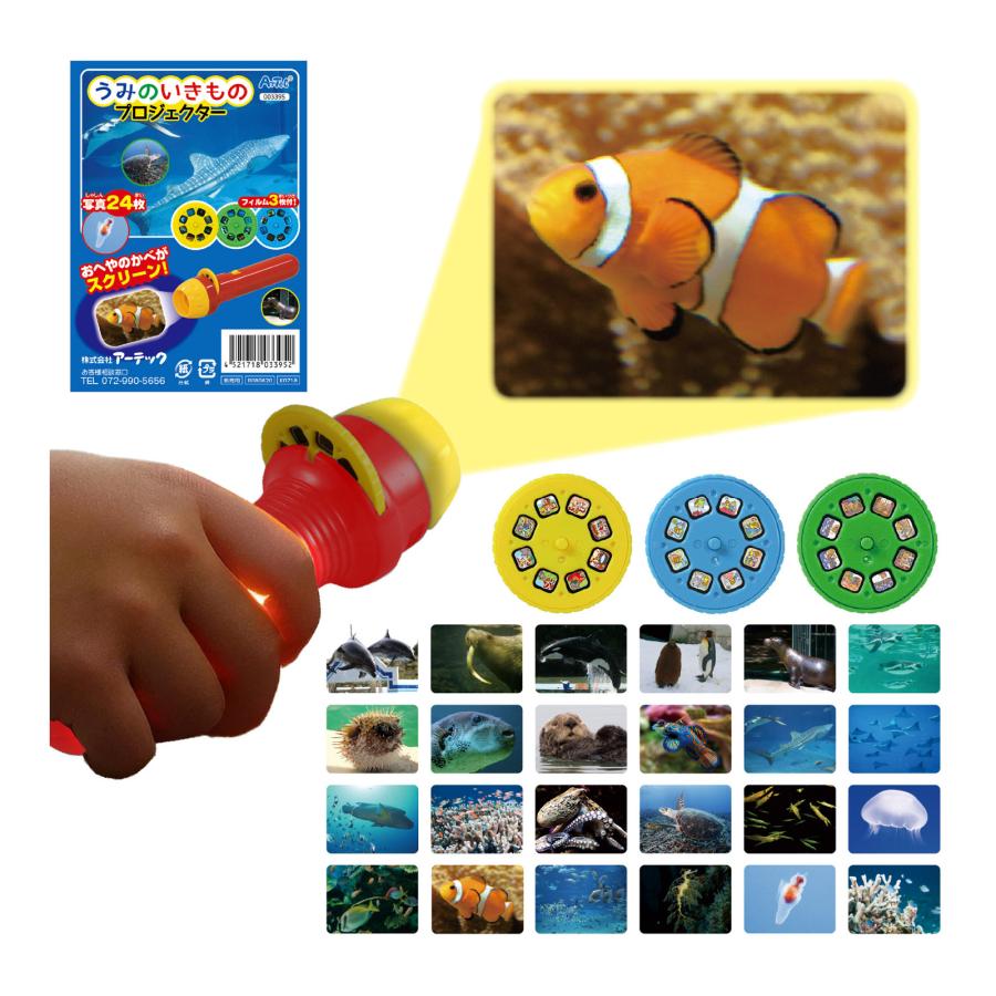 祝日 春のコレクション うみのいきものプロジェクター 理科 学習 子供 自由研究 室内 知育玩具 海の生き物 おもちゃ