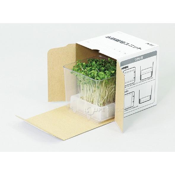スプラウト栽培キット カイワレダイコン 夏工 カイワレ大根 育成 家庭菜園 野菜 ガーデニング 栽培セット キッズ 子供 小学生 種子 教材 自由研 Atc ルーペスタジオ 通販 Yahoo ショッピング