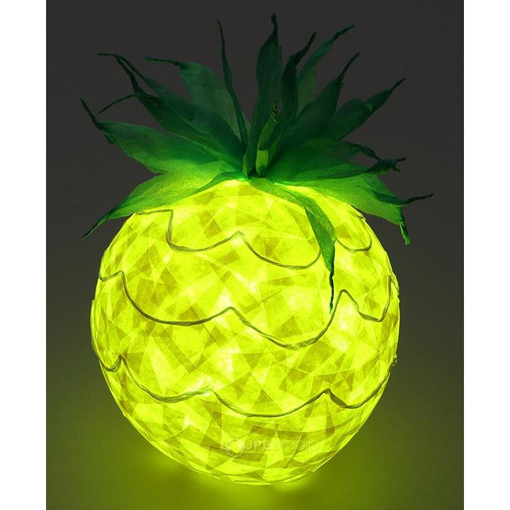 フルーツ ランプシェード 手作りキット 工作 図工 光る ライト 女の子 男の子 子供 キッズ 小学生 かわいい Atc ルーペスタジオ 通販 Yahoo ショッピング