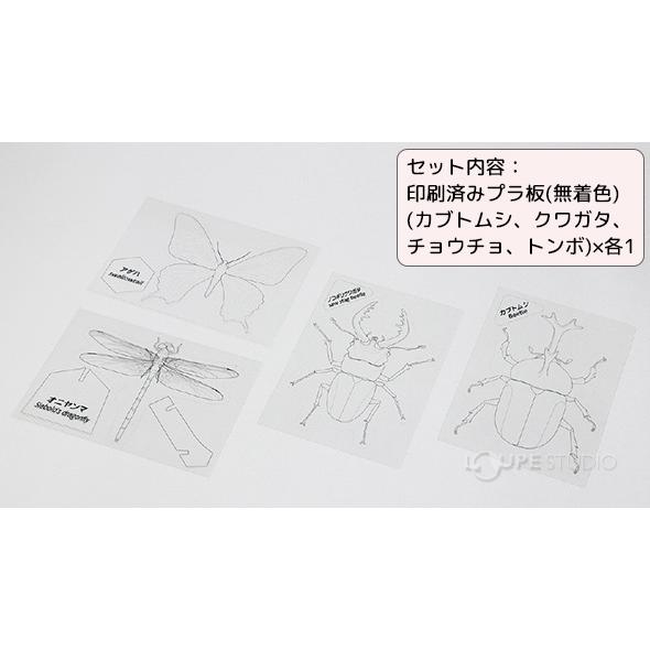 プラ板でつくる昆虫図鑑 プラバン キット おもちゃ 室内 男の子 プレゼント 手作りキット 工作 図工 学校教材 カブトムシ クワガタ チョウチョ ト Atc 006 ルーペスタジオ 通販 Yahoo ショッピング