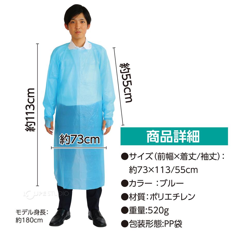 ビニール製エプロン10枚 袖付ビニールエプロン 10枚組 使い捨て 衛生 介護 看護 調理実習