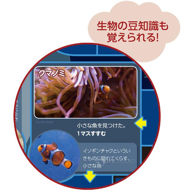 楽しいすごろく3点セット 水族館 動物園 テーマパーク 幼児 子供 ボードゲーム カード ゲーム おもちゃ 知育玩具 キッズ 小学生 カードゲーム Atc 053 ルーペスタジオ 通販 Yahoo ショッピング