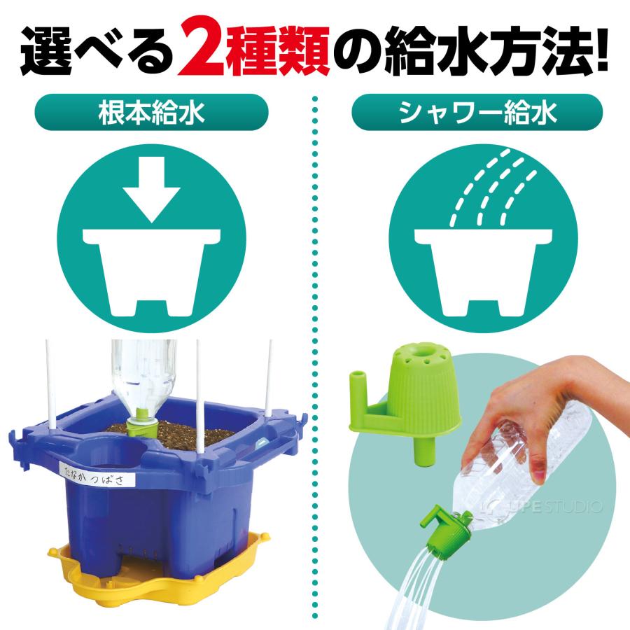 あさがお栽培セット 鉢 青 受け皿 小学生 夏休み 自由研究 体験学習