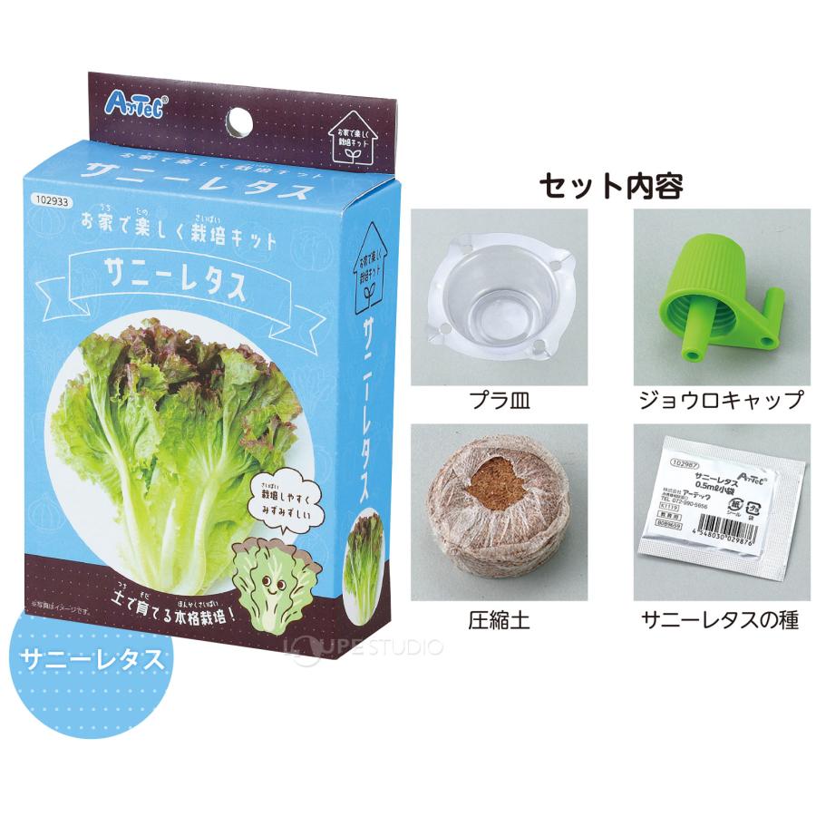 お家で楽しく栽培キット 野菜 栽培セット 子供 プレゼント 家庭菜園