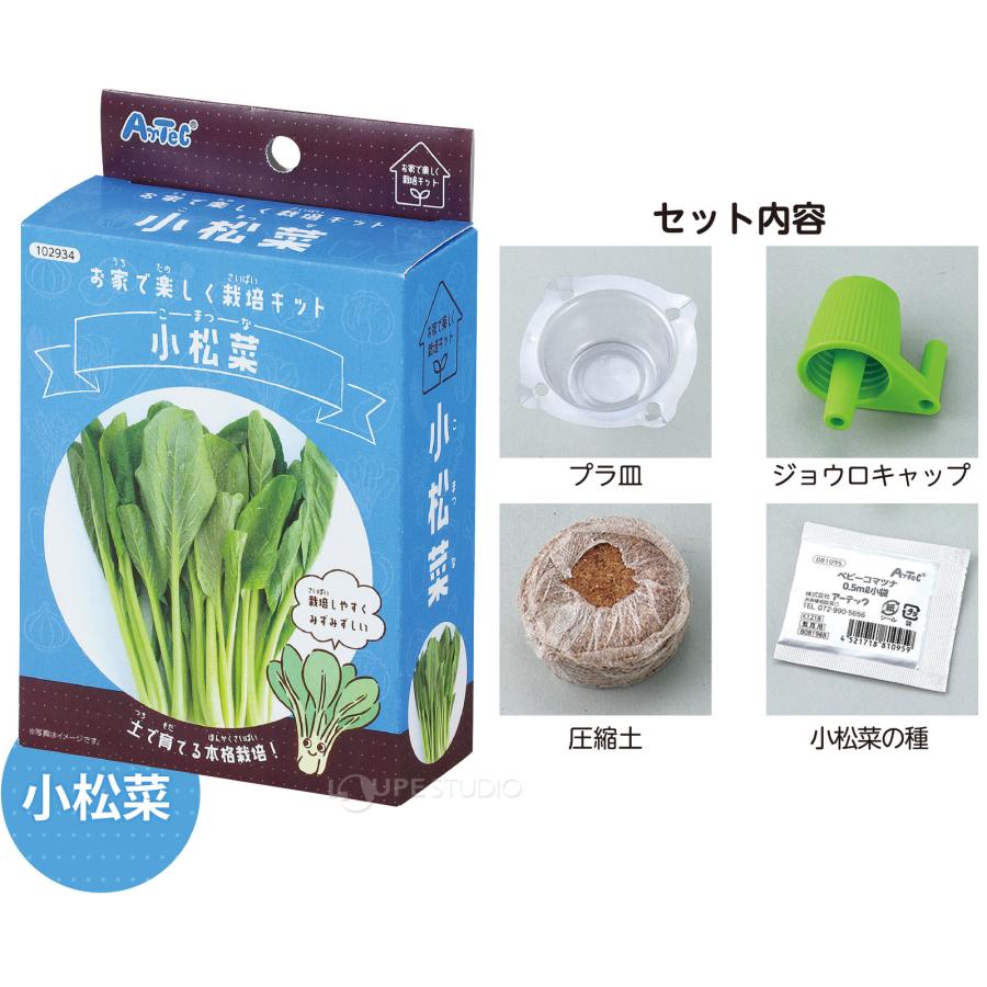 お家で楽しく栽培キット 野菜 栽培セット 子供 プレゼント 家庭菜園