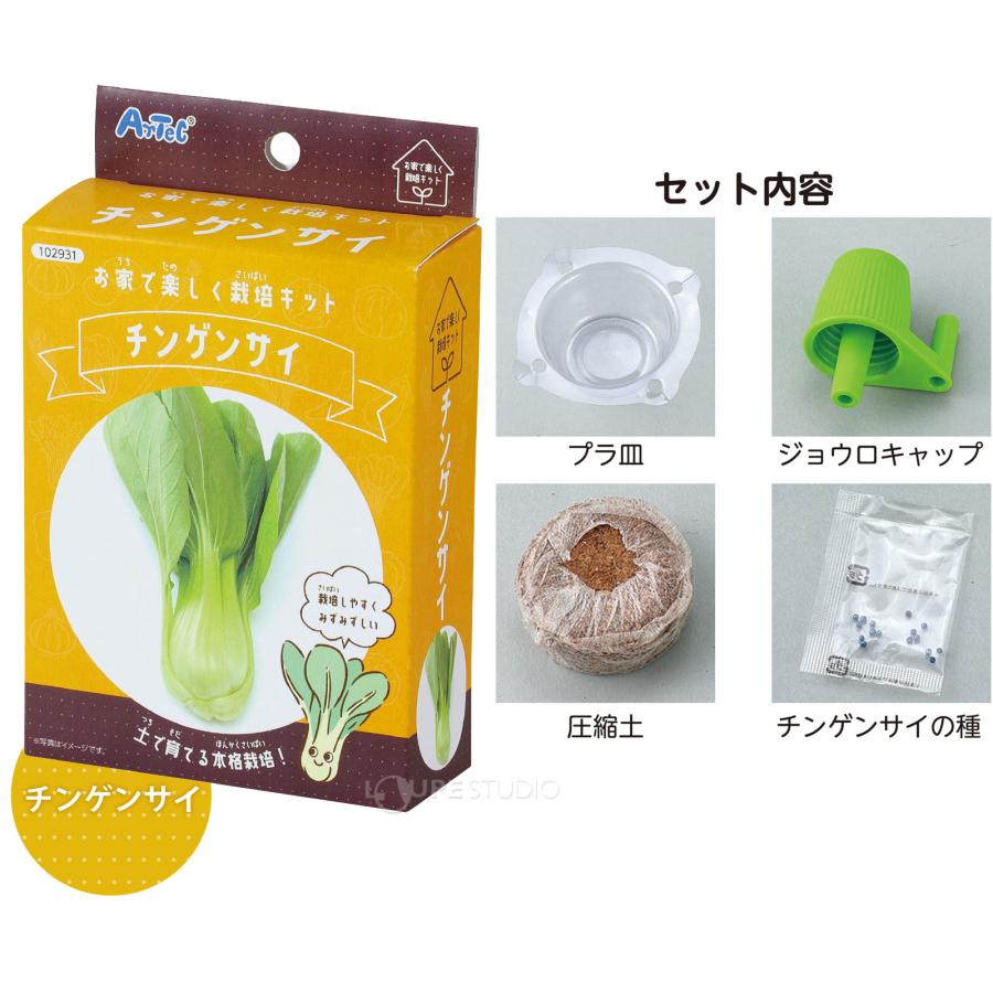 お家で楽しく栽培キット 野菜 栽培セット 子供 プレゼント 家庭菜園