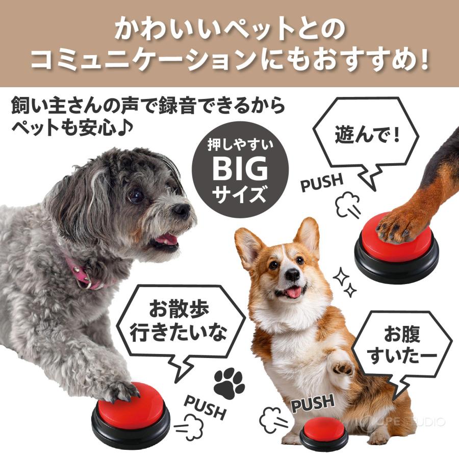 録音ボタン RECプッシュ VOCA 音声 録音 再生 会話 支援 発達障害 自閉