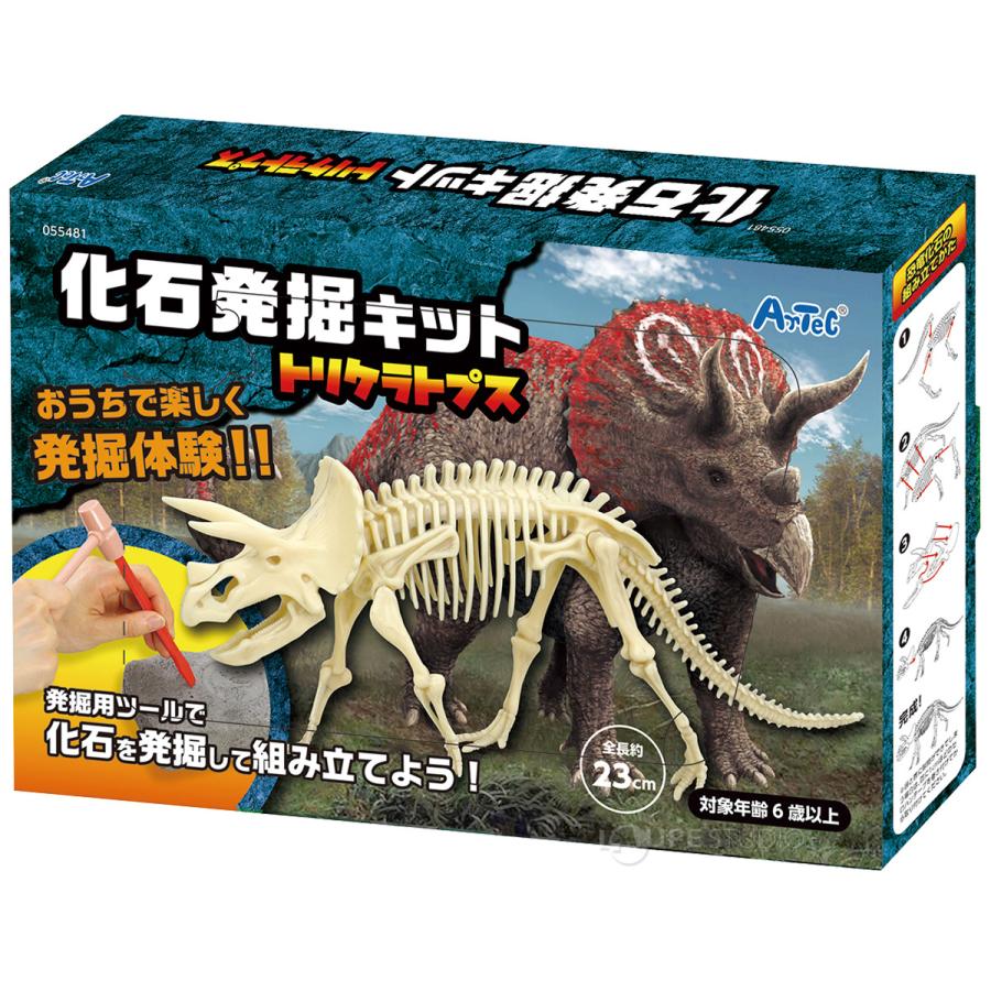 化石発掘キット トリケラトプス 工作キット 図工 子供 手作り 小学生