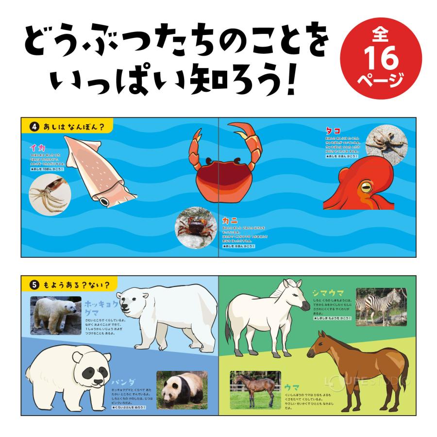 絵本 生き物図鑑 動物 お絵描き 消せる 知育玩具 幼児 子供 キッズ 
