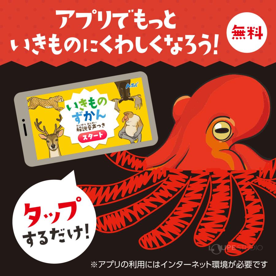 絵本 生き物図鑑 動物 お絵描き 消せる 知育玩具 幼児 子供 キッズ