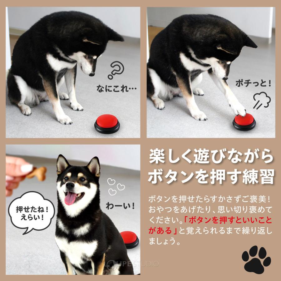 録音ボタン RECプッシュ 4色セット VOCA 音声 録音 再生 会話 支援