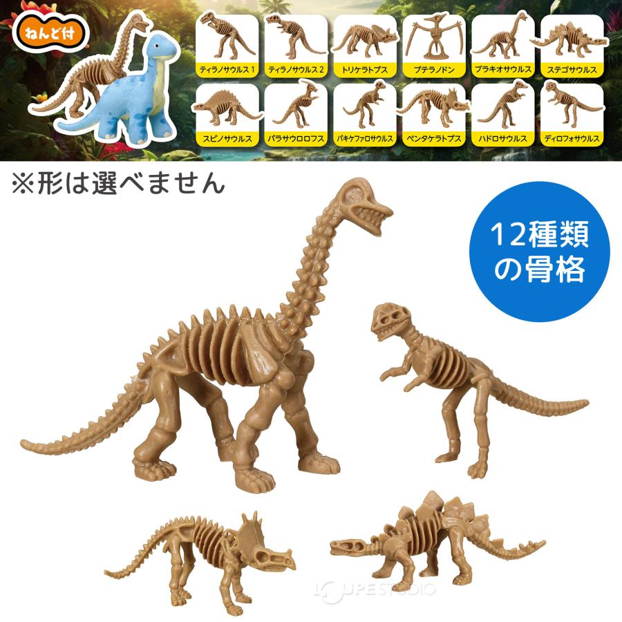 オーダー受付中　恐竜(骨)柄　ダイナソー オーダー受付中 恐竜(骨)柄 ダイナソー