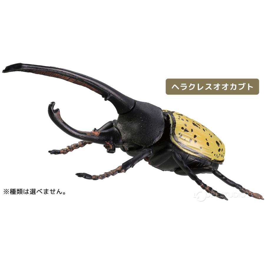 立体パズル 3D パズル DE フィギュア 昆虫 インセクト 20個入り 男の子