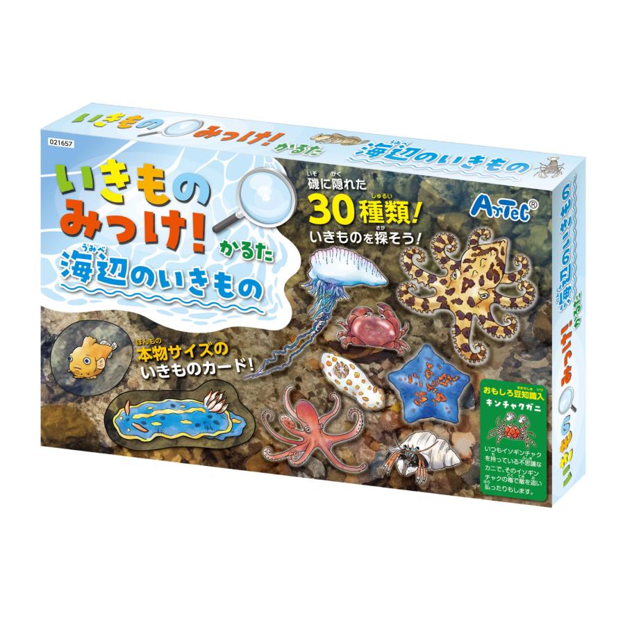 いきものみっけ かるた カルタ うみべのいきもの 知育玩具 おもちゃ