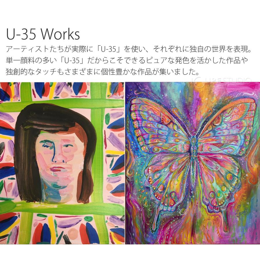 アクリル画 カラフル アクリル絵の具 ターナー U-35 アクリリックス ヘビーボディ A色 60ml