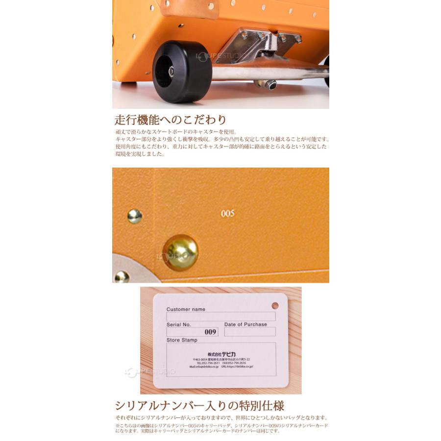 よいこのおどうぐばこ キャリーバッグ スーツケース 1年保証 機内持ち込み 2泊3日 らいおん かわいい デビカ |  | 04