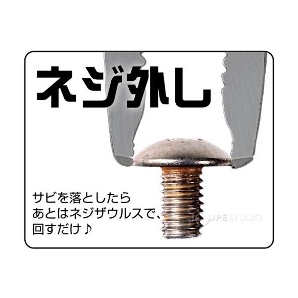 ネジザウルスリキッド 泡タイプ Zc 29 錆び取り剤 錆びとり 錆取り 錆落としスプレー さび落とし 自転車 バイク 中性 エンジニア Eng 1049 ルーペスタジオ 通販 Yahoo ショッピング
