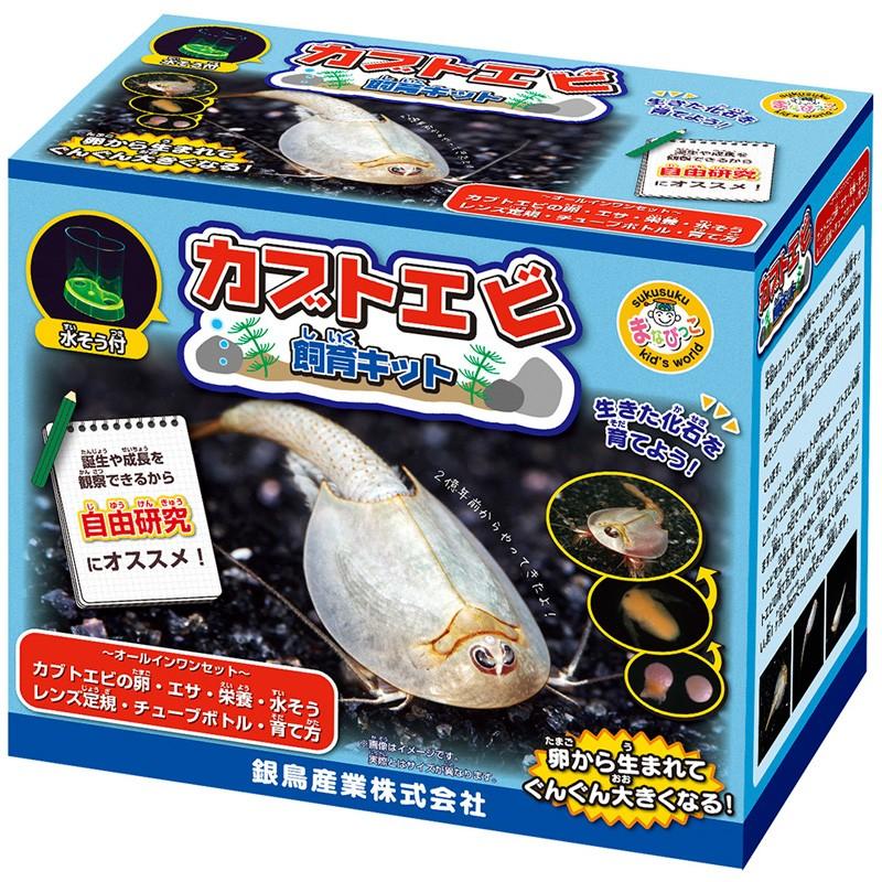 カブトエビ飼育キット 実験セット 自由研究 小学生 キット 夏休み 高学年 観察 工作 Gin 142 ルーペスタジオ 通販 Yahoo ショッピング
