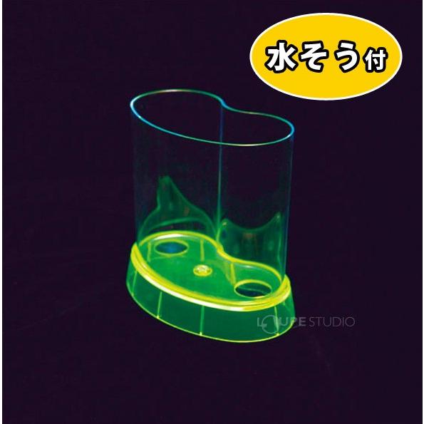 カブトエビ飼育キット 実験セット 自由研究 小学生 キット 夏休み 高学年 観察 工作 Gin 142 ルーペスタジオ 通販 Yahoo ショッピング